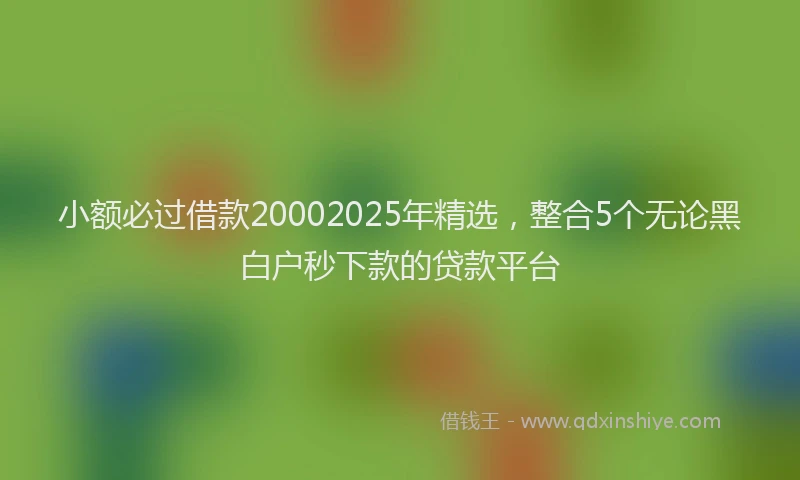 小额必过借款20002025年精选，整合5个无论黑白户秒下款的贷款平台