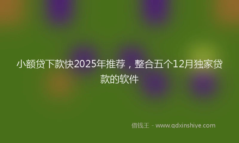 小额贷下款快2025年推荐，整合五个12月独家贷款的软件