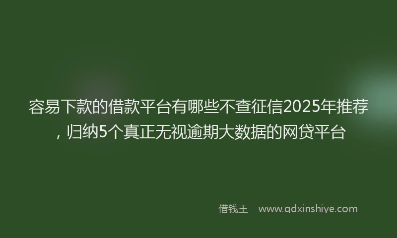 容易下款的借款平台有哪些不查征信2025年推荐，归纳5个真正无视逾期大数据的网贷平台