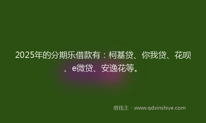 2025年的分期乐借款有：柯基贷、你我贷、花呗、e微贷、安逸花等。