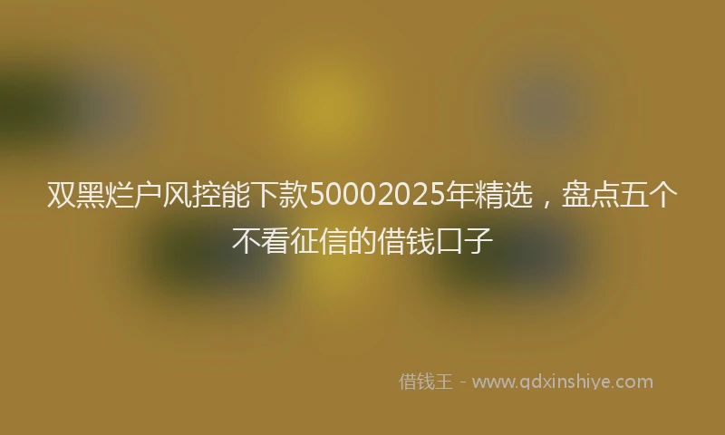 双黑烂户风控能下款50002025年精选，盘点五个不看征信的借钱口子