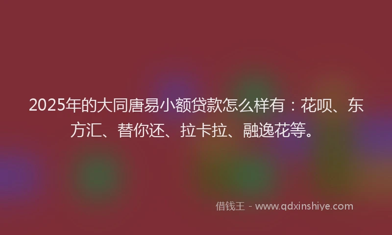 2025年的大同唐易小额贷款怎么样有：花呗、东方汇、替你还、拉卡拉、融逸花等。