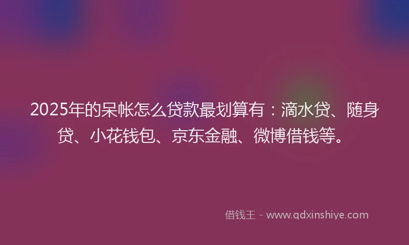2025年的呆帐怎么贷款最划算有：滴水贷、随身贷、小花钱包、京东金融、微博借钱等。