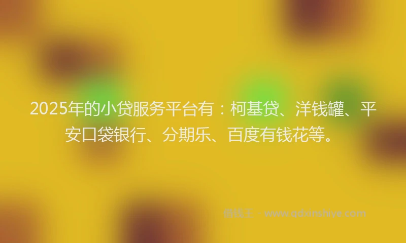 2025年的小贷服务平台有：柯基贷、洋钱罐、平安口袋银行、分期乐、百度有钱花等。
