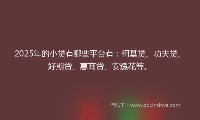 2025年的小贷有哪些平台有：柯基贷、功夫贷、好期贷、惠商贷、安逸花等。