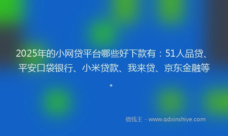 2025年的小网贷平台哪些好下款有：51人品贷、平安口袋银行、小米贷款、我来贷、京东金融等。