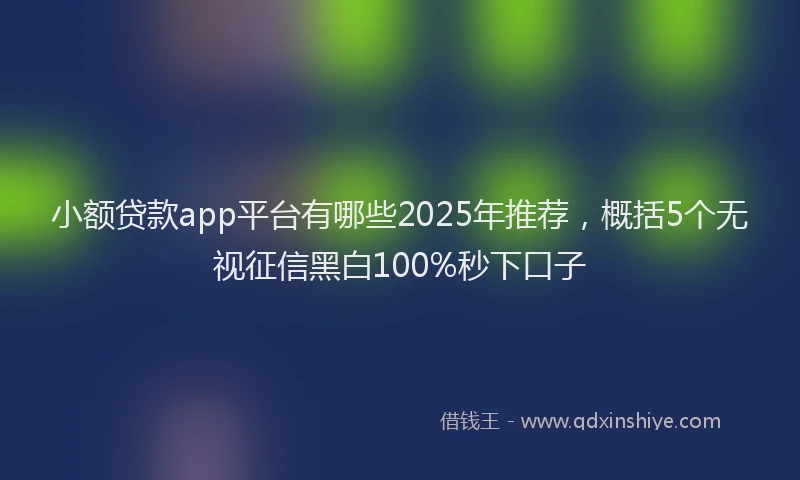 小额贷款app平台有哪些2025年推荐，概括5个无视征信黑白100%秒下口子