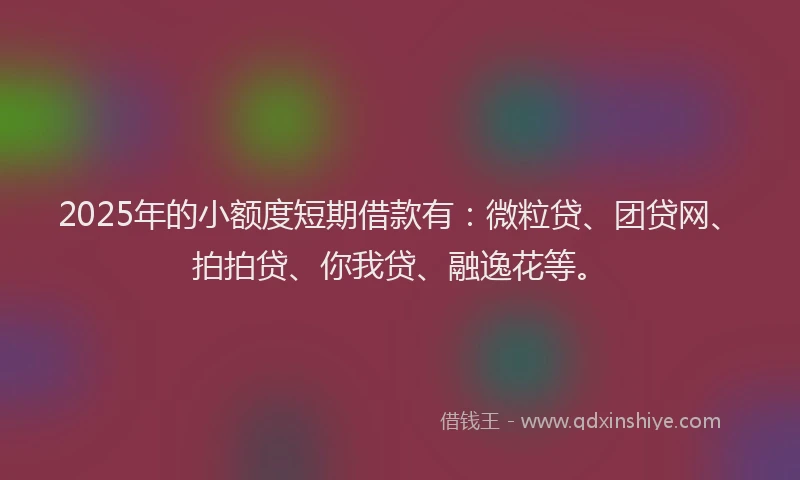 2025年的小额度短期借款有：微粒贷、团贷网、拍拍贷、你我贷、融逸花等。