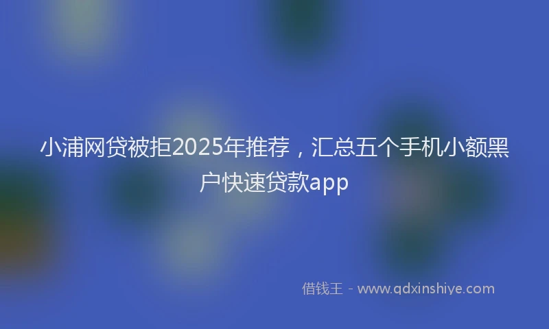 小浦网贷被拒2025年推荐，汇总五个手机小额黑户快速贷款app