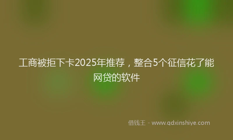 工商被拒下卡2025年推荐，整合5个征信花了能网贷的软件