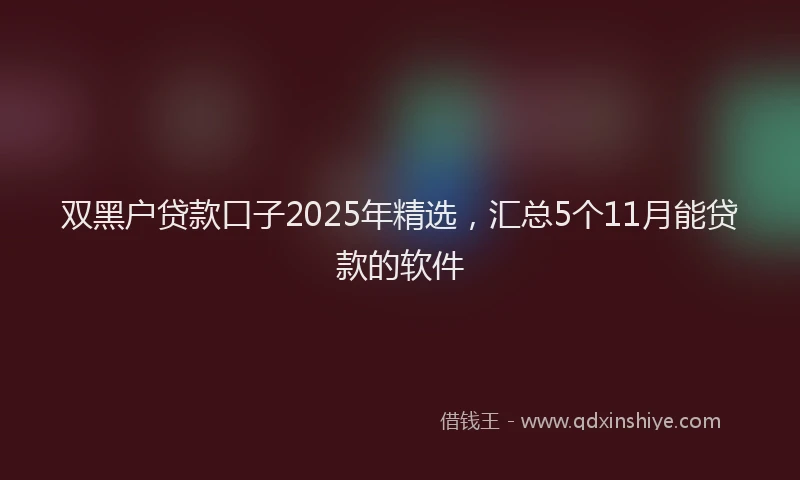 双黑户贷款口子2025年精选，汇总5个11月能贷款的软件
