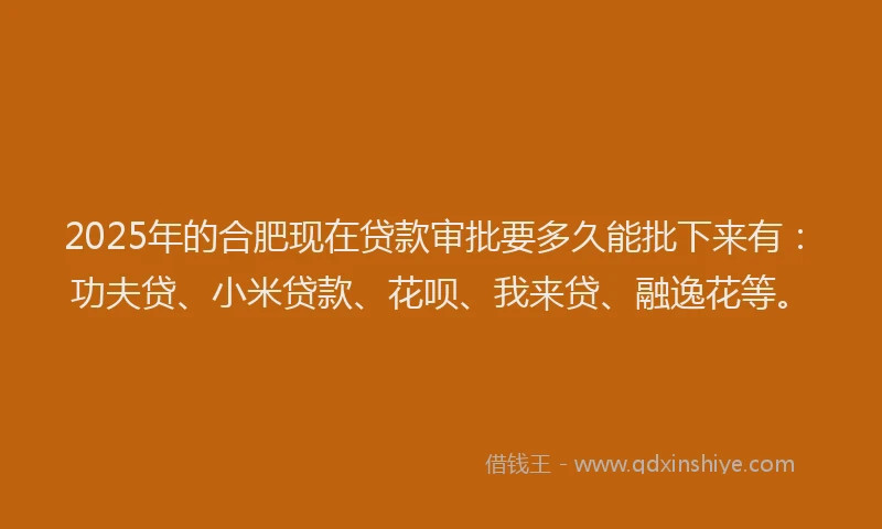 2025年的合肥现在贷款审批要多久能批下来有：功夫贷、小米贷款、花呗、我来贷、融逸花等。