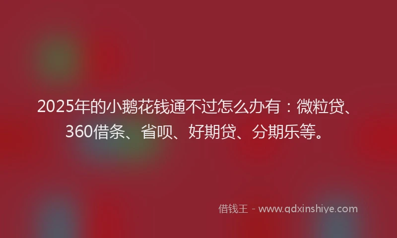 2025年的小鹅花钱通不过怎么办有：微粒贷、360借条、省呗、好期贷、分期乐等。