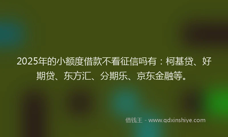 2025年的小额度借款不看征信吗有：柯基贷、好期贷、东方汇、分期乐、京东金融等。