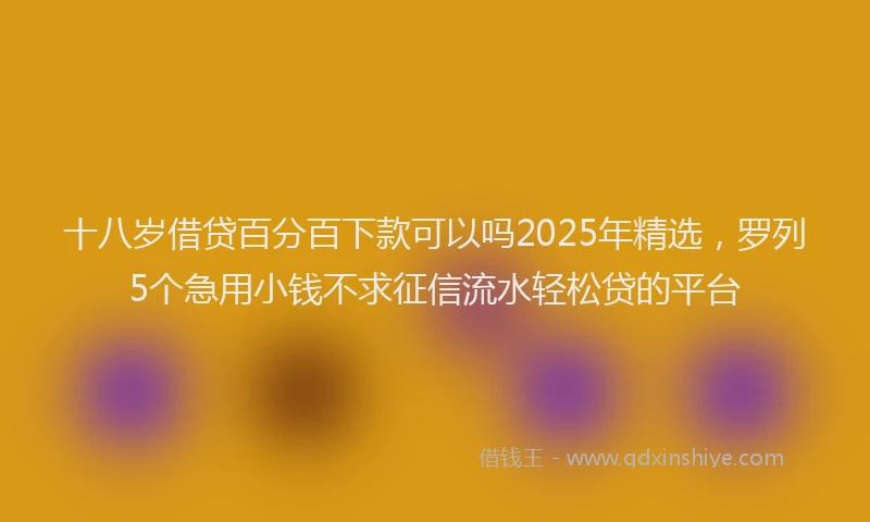 十八岁借贷百分百下款可以吗2025年精选，罗列5个急用小钱不求征信流水轻松贷的平台