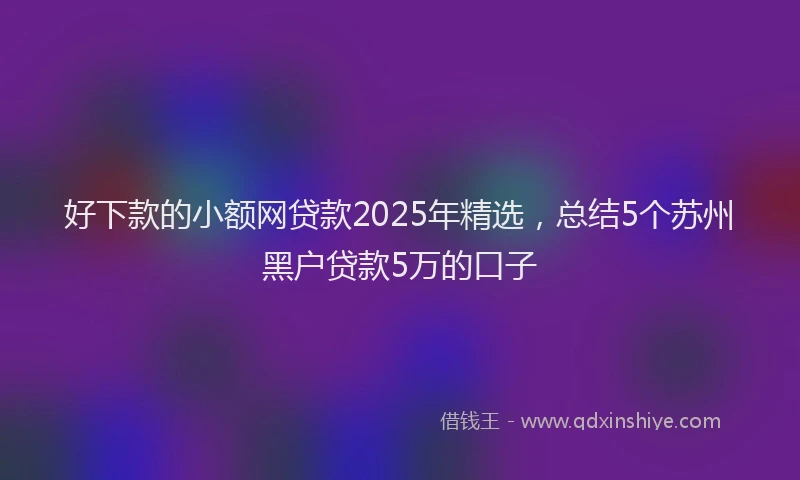 好下款的小额网贷款2025年精选，总结5个苏州黑户贷款5万的口子