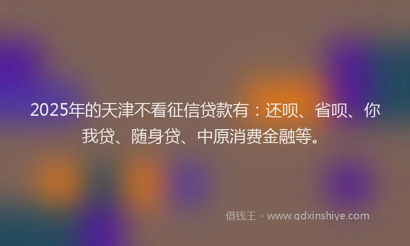 2025年的天津不看征信贷款有：还呗、省呗、你我贷、随身贷、中原消费金融等。