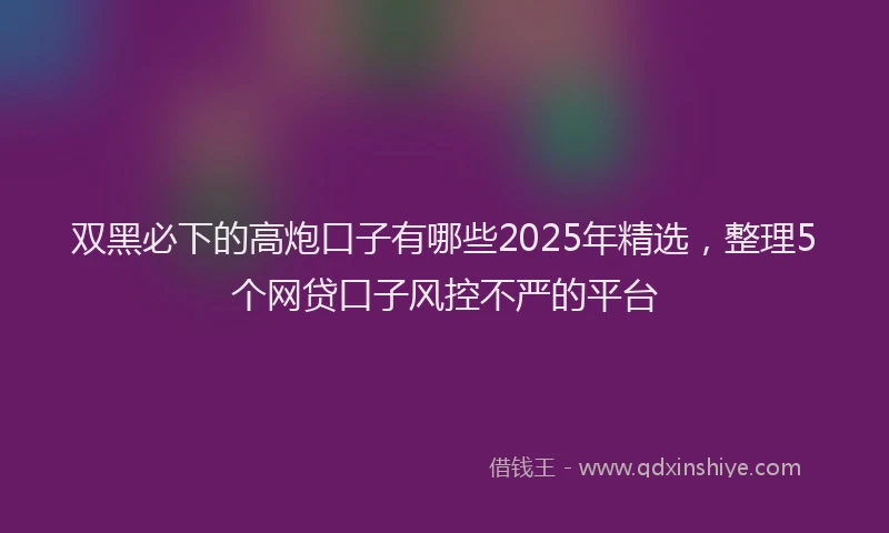 双黑必下的高炮口子有哪些2025年精选，整理5个网贷口子风控不严的平台