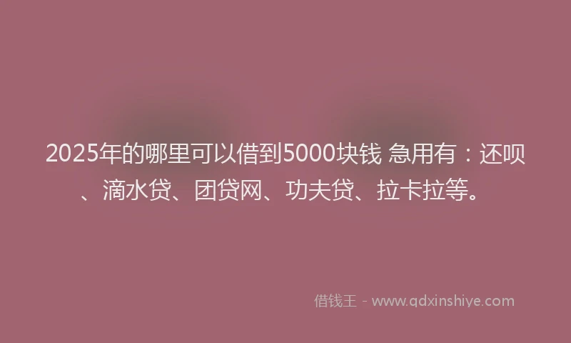 2025年的哪里可以借到5000块钱 急用有：还呗、滴水贷、团贷网、功夫贷、拉卡拉等。