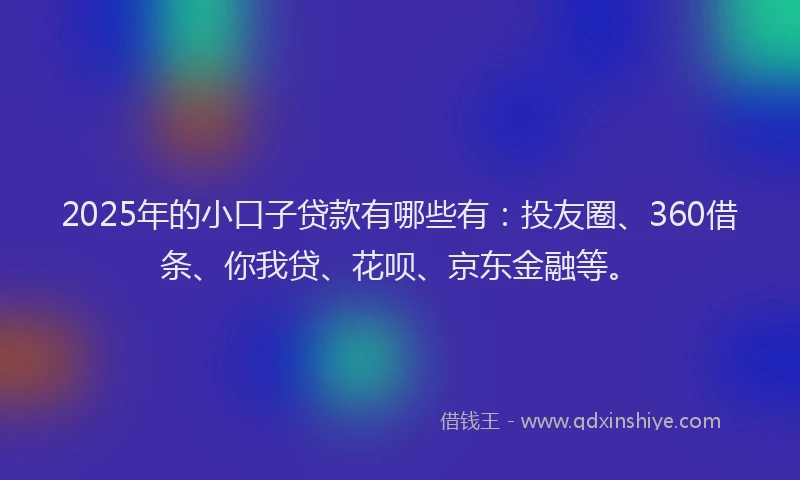 2025年的小口子贷款有哪些有：投友圈、360借条、你我贷、花呗、京东金融等。