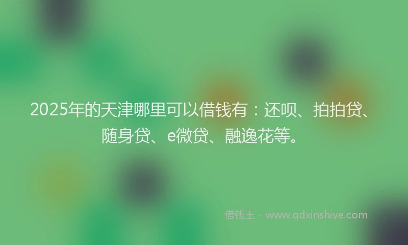 2025年的天津哪里可以借钱有：还呗、拍拍贷、随身贷、e微贷、融逸花等。