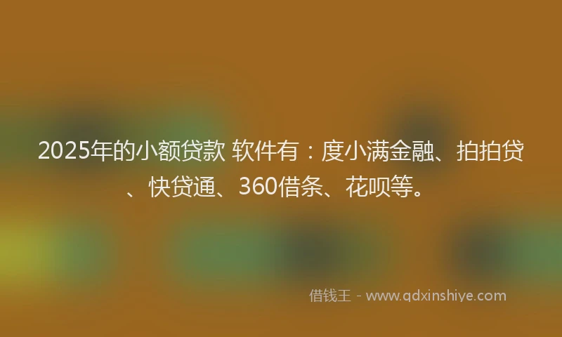 2025年的小额贷款 软件有：度小满金融、拍拍贷、快贷通、360借条、花呗等。