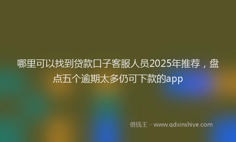 哪里可以找到贷款口子客服人员2025年推荐，盘点五个逾期太多仍可下款的app