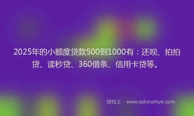 2025年的小额度贷款500到1000有：还呗、拍拍贷、读秒贷、360借条、信用卡贷等。