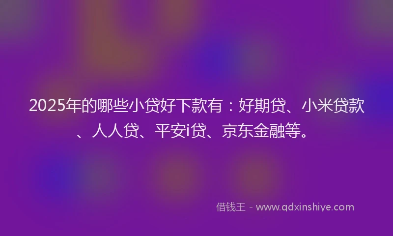 2025年的哪些小贷好下款有：好期贷、小米贷款、人人贷、平安i贷、京东金融等。