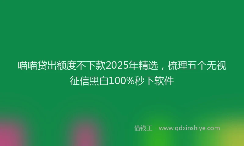 喵喵贷出额度不下款2025年精选，梳理五个无视征信黑白100%秒下软件