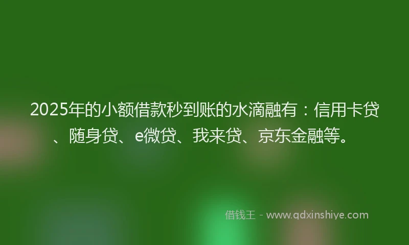 2025年的小额借款秒到账的水滴融有：信用卡贷、随身贷、e微贷、我来贷、京东金融等。
