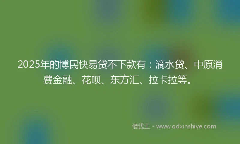 2025年的博民快易贷不下款有：滴水贷、中原消费金融、花呗、东方汇、拉卡拉等。