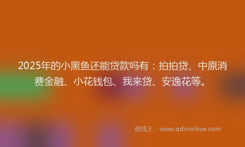 2025年的小黑鱼还能贷款吗有：拍拍贷、中原消费金融、小花钱包、我来贷、安逸花等。