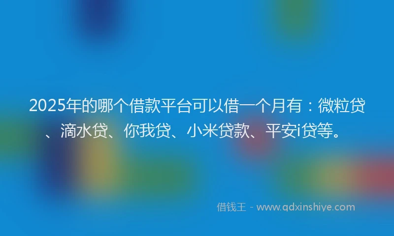 2025年的哪个借款平台可以借一个月有：微粒贷、滴水贷、你我贷、小米贷款、平安i贷等。
