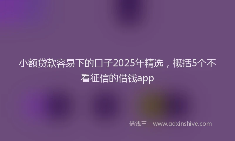 小额贷款容易下的口子2025年精选，概括5个不看征信的借钱app