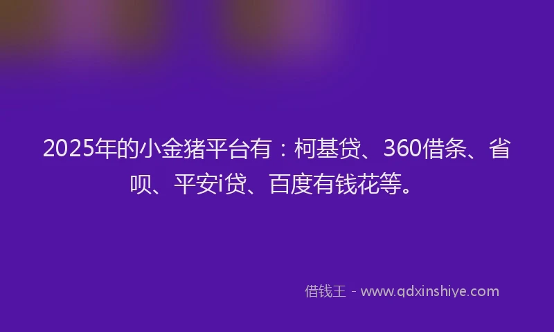2025年的小金猪平台有：柯基贷、360借条、省呗、平安i贷、百度有钱花等。