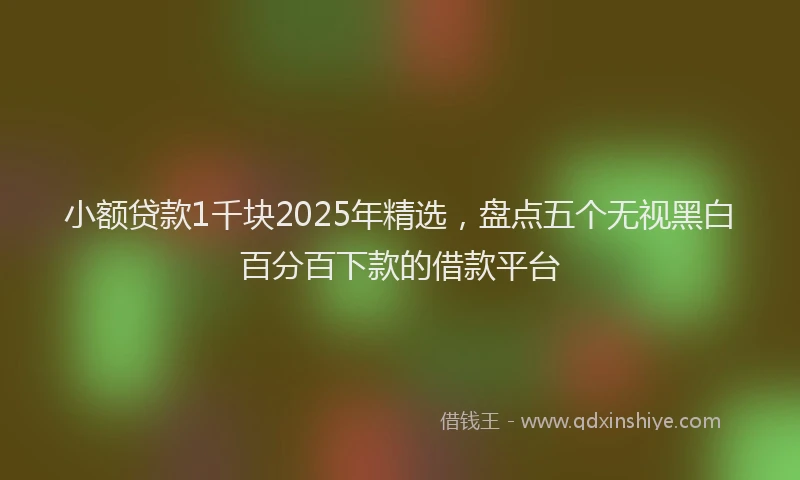 小额贷款1千块2025年精选，盘点五个无视黑白百分百下款的借款平台