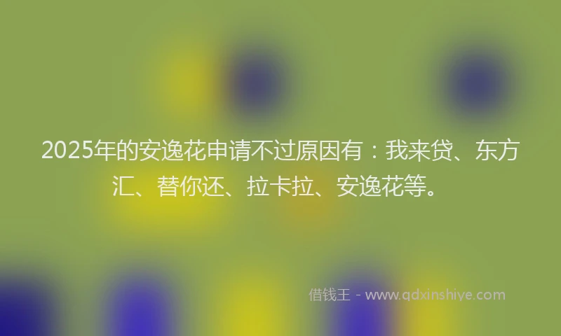 2025年的安逸花申请不过原因有：我来贷、东方汇、替你还、拉卡拉、安逸花等。
