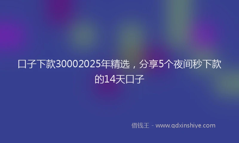 口子下款30002025年精选，分享5个夜间秒下款的14天口子