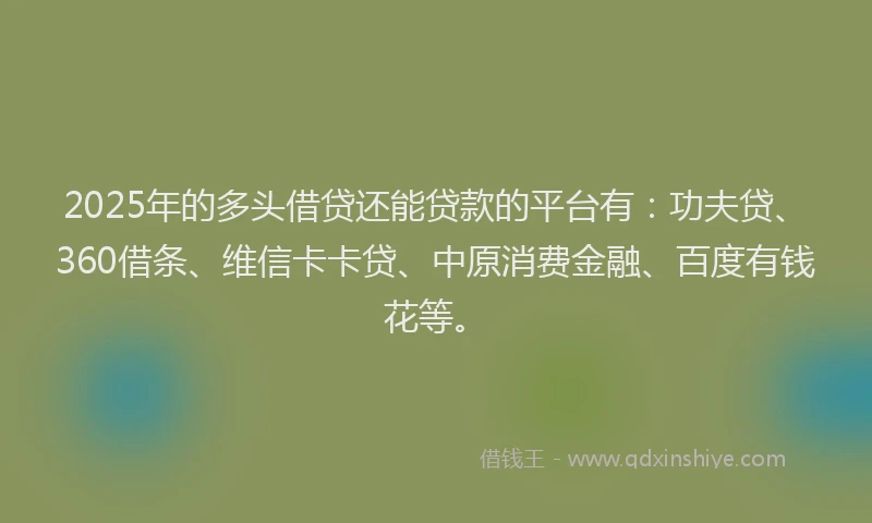 2025年的多头借贷还能贷款的平台有：功夫贷、360借条、维信卡卡贷、中原消费金融、百度有钱花等。