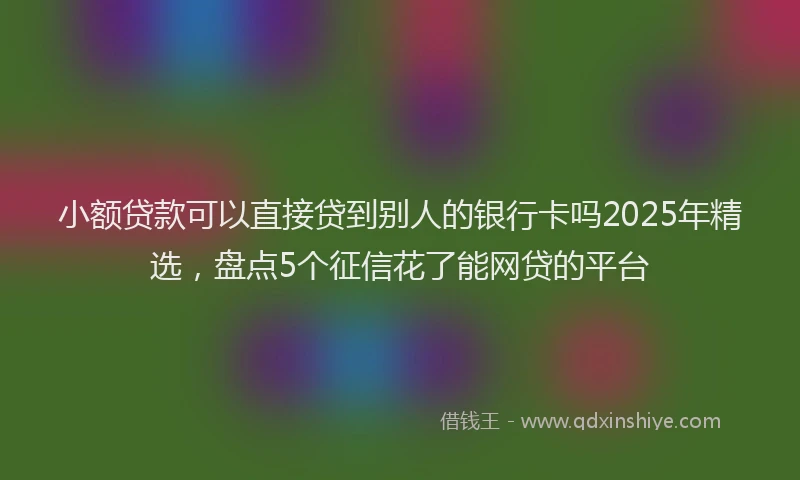 小额贷款可以直接贷到别人的银行卡吗2025年精选，盘点5个征信花了能网贷的平台