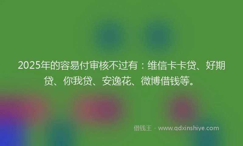 2025年的容易付审核不过有：维信卡卡贷、好期贷、你我贷、安逸花、微博借钱等。