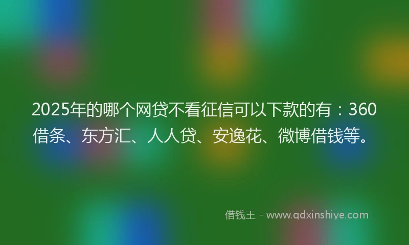 2025年的哪个网贷不看征信可以下款的有：360借条、东方汇、人人贷、安逸花、微博借钱等。