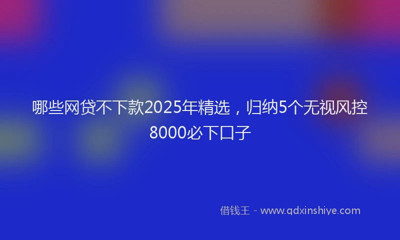 哪些网贷不下款2025年精选，归纳5个无视风控8000必下口子