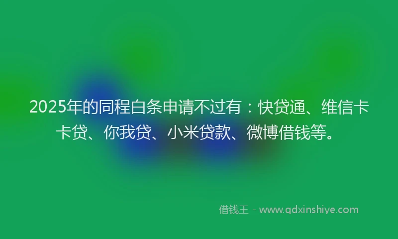 2025年的同程白条申请不过有：快贷通、维信卡卡贷、你我贷、小米贷款、微博借钱等。