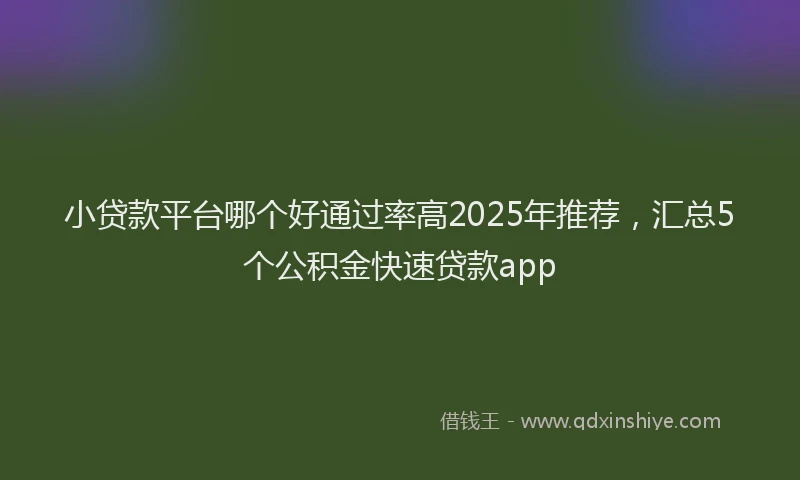 小贷款平台哪个好通过率高2025年推荐，汇总5个公积金快速贷款app
