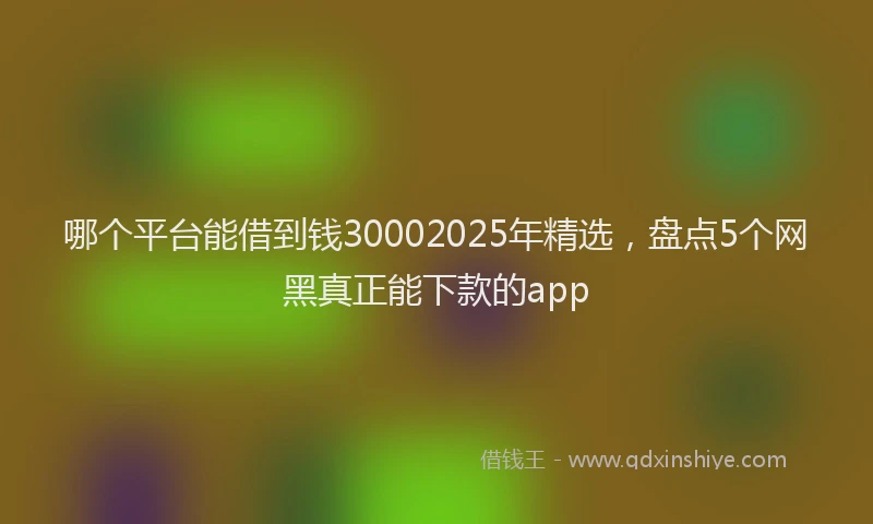 哪个平台能借到钱30002025年精选，盘点5个网黑真正能下款的app
