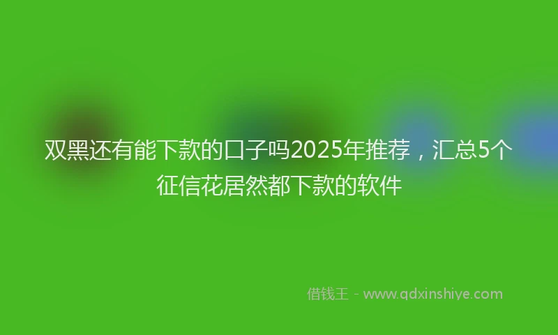 双黑还有能下款的口子吗2025年推荐，汇总5个征信花居然都下款的软件