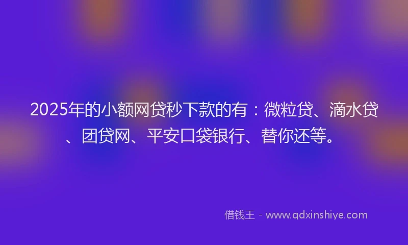 2025年的小额网贷秒下款的有：微粒贷、滴水贷、团贷网、平安口袋银行、替你还等。