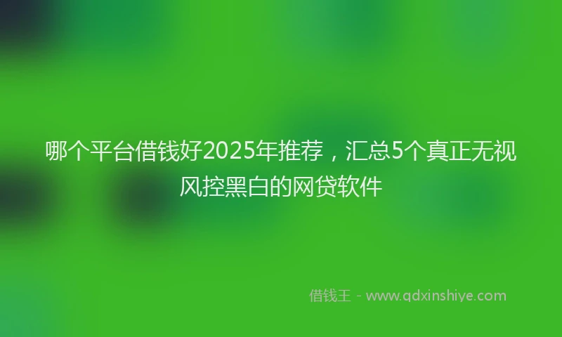 哪个平台借钱好2025年推荐，汇总5个真正无视风控黑白的网贷软件